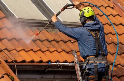 Démoussage et hydrofuge de toiture à Reyrieux